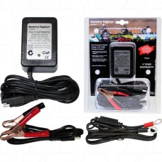 BFJ006 SLA 6V Charger